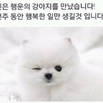 <b>시청</b>률 겁나 잘나오는 배우랑