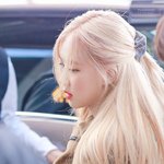 제니 <b>리사</b> 로제 지수