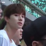 [NCT즌] 와 김정우 <b>연생때</b>