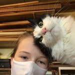 정말 하나도 부럽지 않은 <b>셀피</b>들