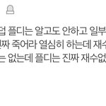 ㅅㅂㅌ <b>소속</b>사랑 ㄷㅂㅇㅈ 소속사 차이