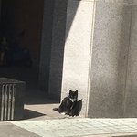 집가는데 잼<b>민이</b>들 모여있길래