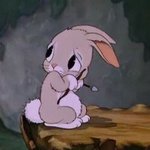 [모두드루와] 민규야 민규야... <b>캐럿</b>들아