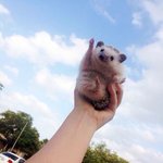 [세븐틴] 지금은 우리가 숨돌릴타이밍