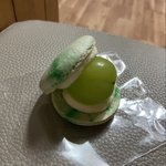 우리동네 1000원 마카롱집 ㄹㅈㄷ임;;
