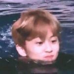 [NCT즌] 이 남성 제가 <b>평생</b> 키울 자신있습니다