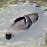 [댓글부탁해] 홍대핫플알려줄사람 <b>재발</b> . .