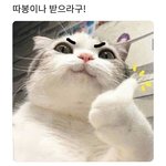 얘들아 혼자 코뚫는거 오바지
