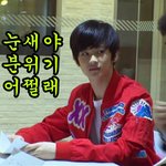 [NCT즌] 밑에 보고 먹금짤 비슷한거 대충 만들었어