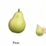 같은반에 <b>intj</b>