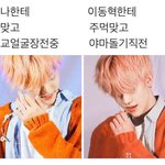 [NCT즌] 유사 나쟴민과 호모 나쟴민 <b>캐해</b> 차이