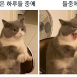 [방탄소년단] <b>오다</b> 주움 +메인짤 추가