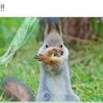 후.나 밤샐거다.