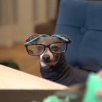 [무한분열] 공지