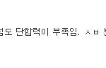 [세븐틴] 우는 럿들아 웃고가라