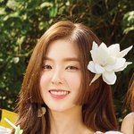 미친 아이린 히메컷한거임?이것도잘어울려