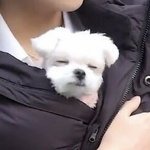 [더보이즈] 더비들 <b>잘</b> <b>자</b> 난 오늘 좀 빨리 자야징