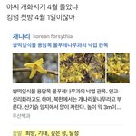 더보이즈 이거 뒷북인가