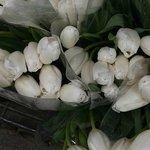 근데 슬림탄탄 만들려면 <b>이러</b>케