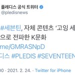 [세븐틴] <b>플디</b> ㅌㅇㅌ