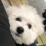[댓글부탁해] 얘들아 나 안 늦었지??ㅠㅠ