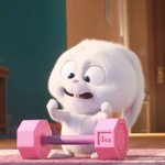 [댓글부탁해] 단백질쉐이크 먹어서 살빼본애있긴함?