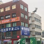 <b>언행</b>불일치