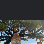 [꼭조언부탁] <b>이</b> 사진 출처? 어딘지 <b>알</b> 수 있나요