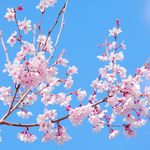 [이것좀봐줘] 의대생인척 하는법 알려줌 드루와❤️