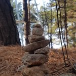 [진격의거인] 여러분 진격거 생각하면서 활동을 해봐요