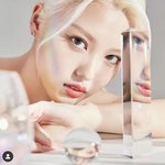 [모두드루와] 모모랜드 얘네도 이쁘지 않냐?