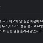 [댓글부탁해] 우리 야<b>오치님</b> 나무위키 개웃기다