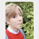 [NCT즌] 야 미친 이런 포카가 있음??