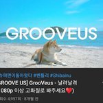 [댓글부탁해] ㄹㅇ 안흔한 노래 추천해드림