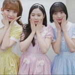 아이돌 폭로합니다