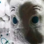 [더보이즈] 아 오늘부터 <b>갓생</b> 산다