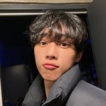 [더보이즈] 와 김선우 ㄹㅇ 복슬 강아지