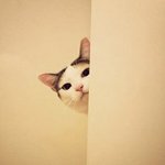 [방탄소년단] 근데 만약에 말야
