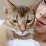 [NCT즌] 웨<b>비전</b> 지금보는데 ㅋㅋㅋㅋ