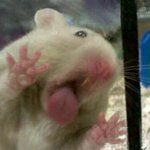 [스키즈] 진짜 다들 팬톡 많이 <b>오네</b>