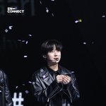 아니 김선우