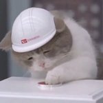 [댓글부탁해] <b>뉴비</b>들아 판 밈 알려줄테니까 다 들어와