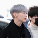 [세븐틴] 발렌티노 호시 들어봤냐