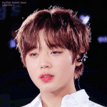 내가 조아하는 아기사자 <b>눈빛들</b>