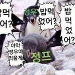 [NCT즌] 정프들아 이 짤 좀 <b>보삼</b>