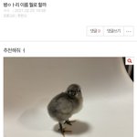 아까 병ㅇㅏ리 이름 쓰니거든... 고마워 덕분에