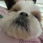 [이것좀봐줘] 새학기때 교복 <b>스타킹</b> 무슨색입을거야??