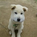 [댓글부탁해] 인스타 <b>스토리</b>만 본<b>사람</b> 아는거 맞지?ㅠ