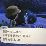 [ㅈㄱㄴ] <b>동</b><b>숲</b>하는데 주민 못생겨도 정들음