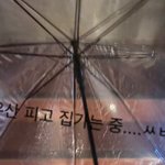 내 인생 ㅈㄴ 웃김 꿀잼